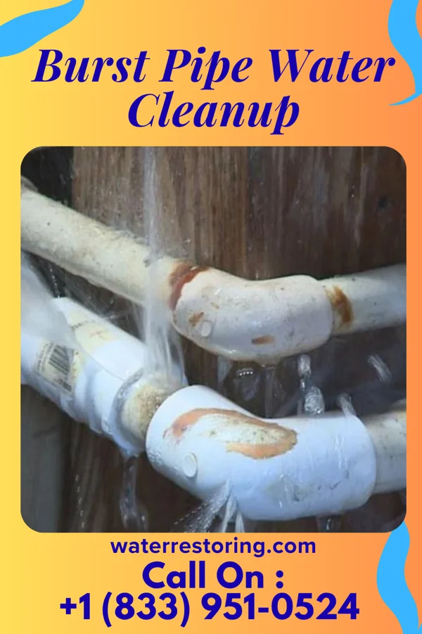 Burst Pipe Water Cleanup in Bon Air, VA