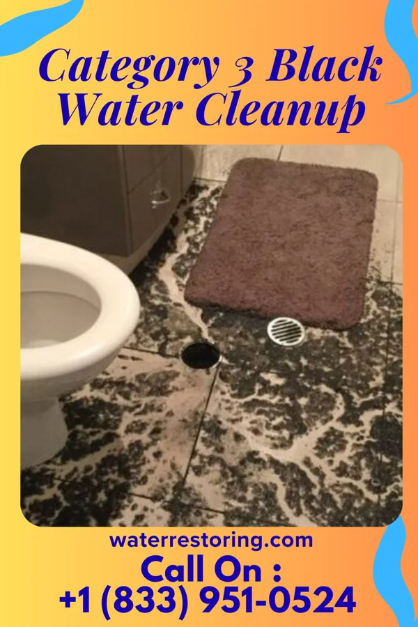 Category 3 Black Water Cleanup in Bon Air, VA
