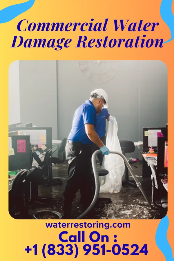 Commercial Water Damage Restoration in Bon Air, VA
