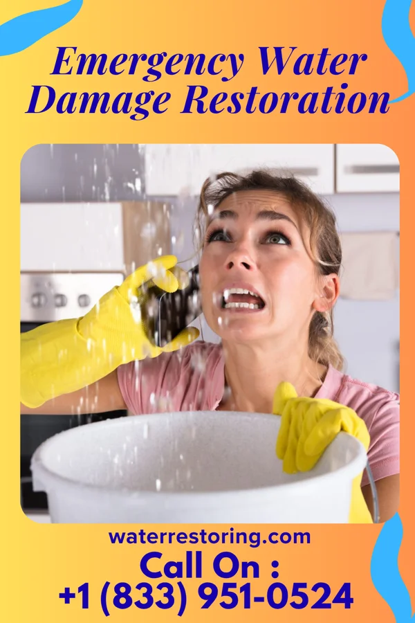 Emergency Water Damage Restoration in Bon Air, VA