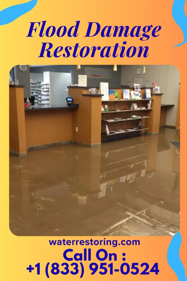 Flood Damage Restoration in Bon Air, VA